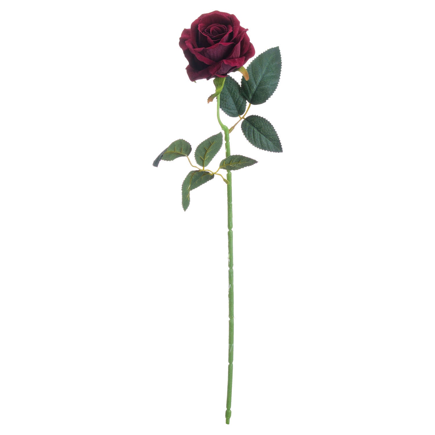 full length single stem deep red rose