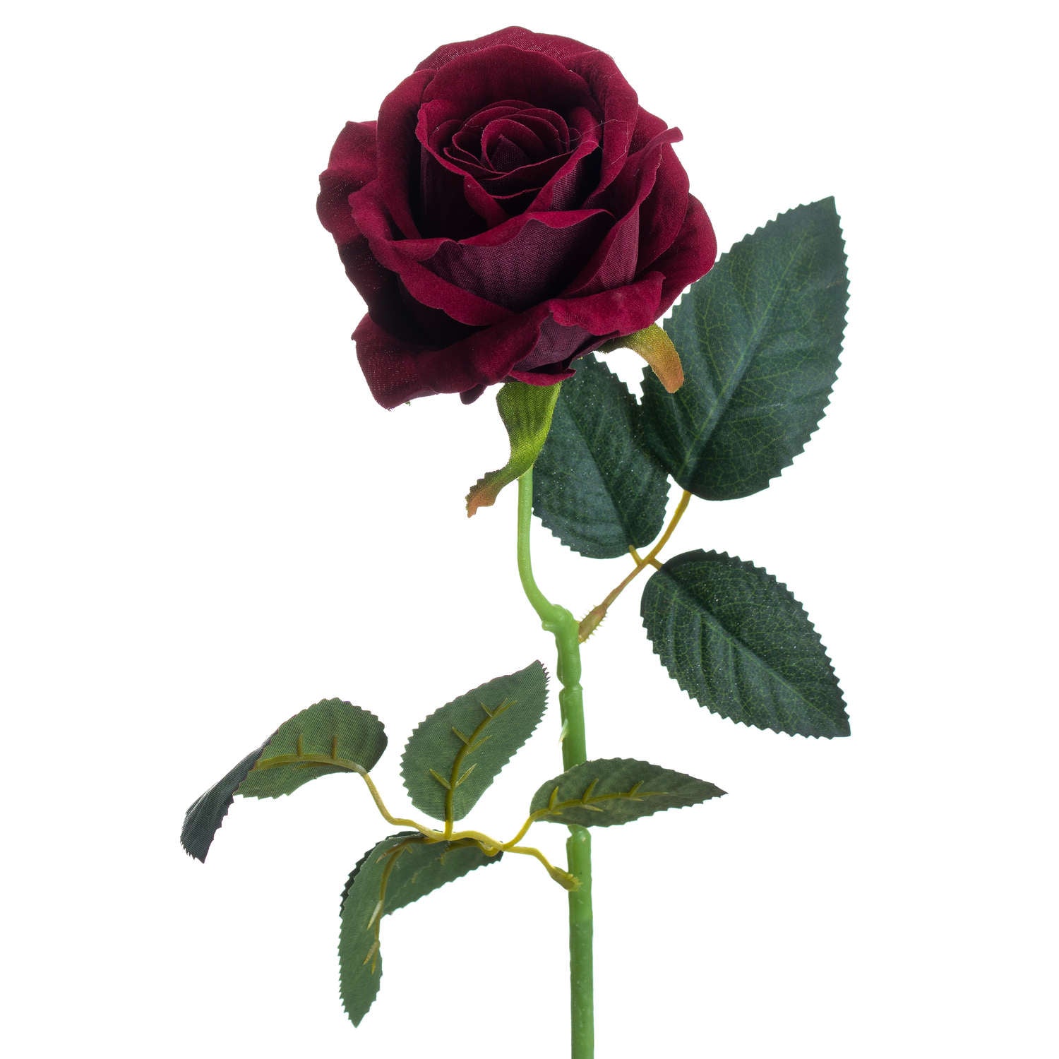 Single stem deep red rose with head in full bloom and two small leaf stems