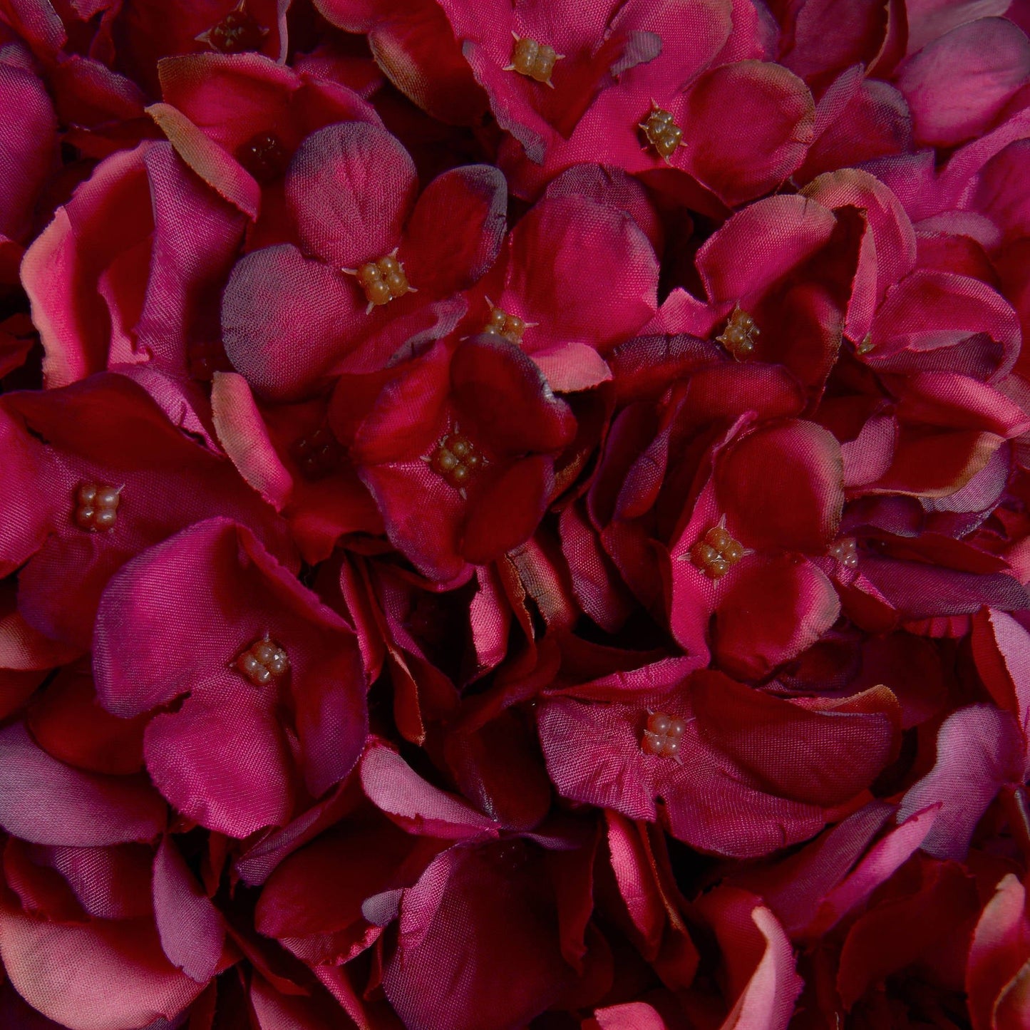 close up of hand-painted petals on hydrangea