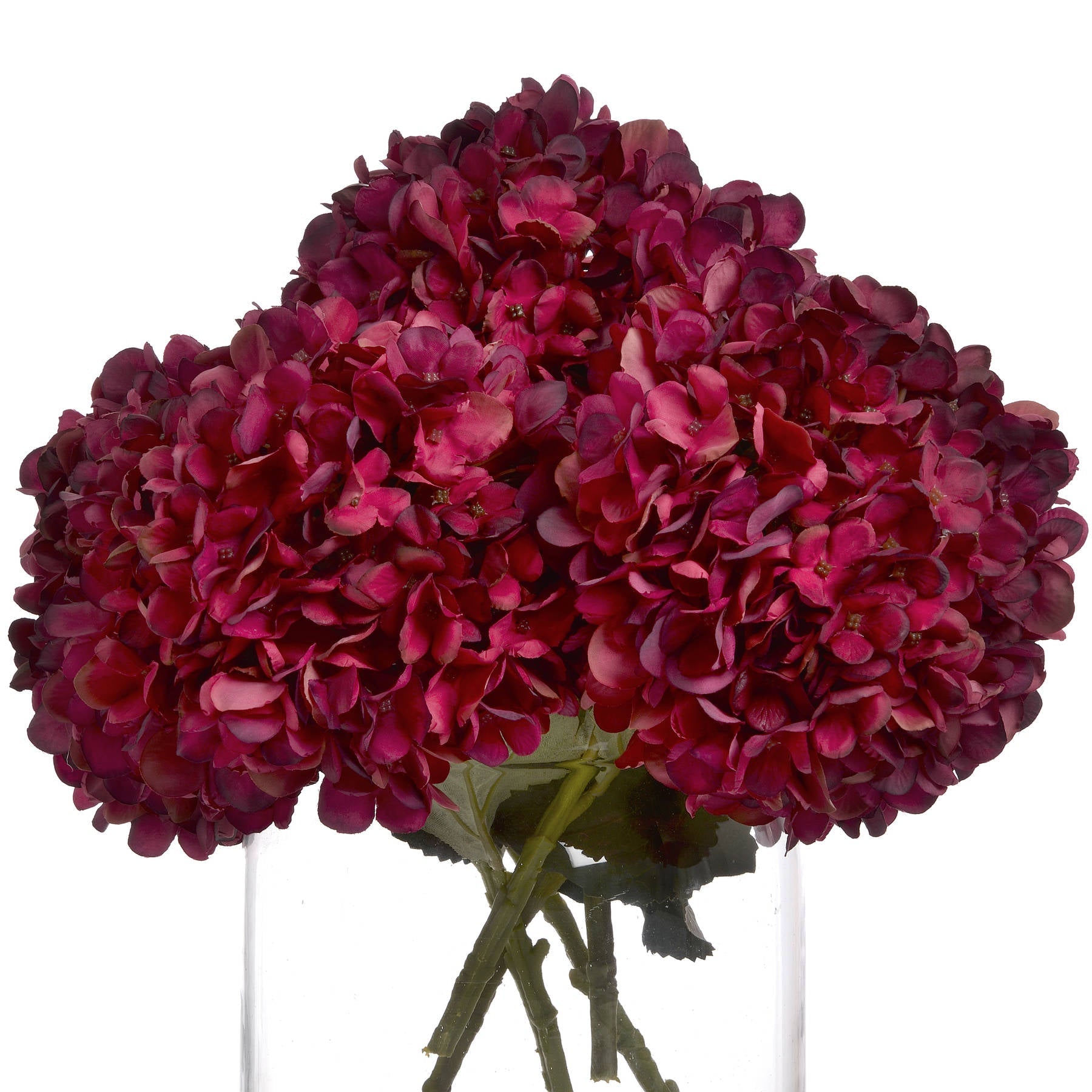 several stems of ruby hydrangea, cut shorter and in a glass vase