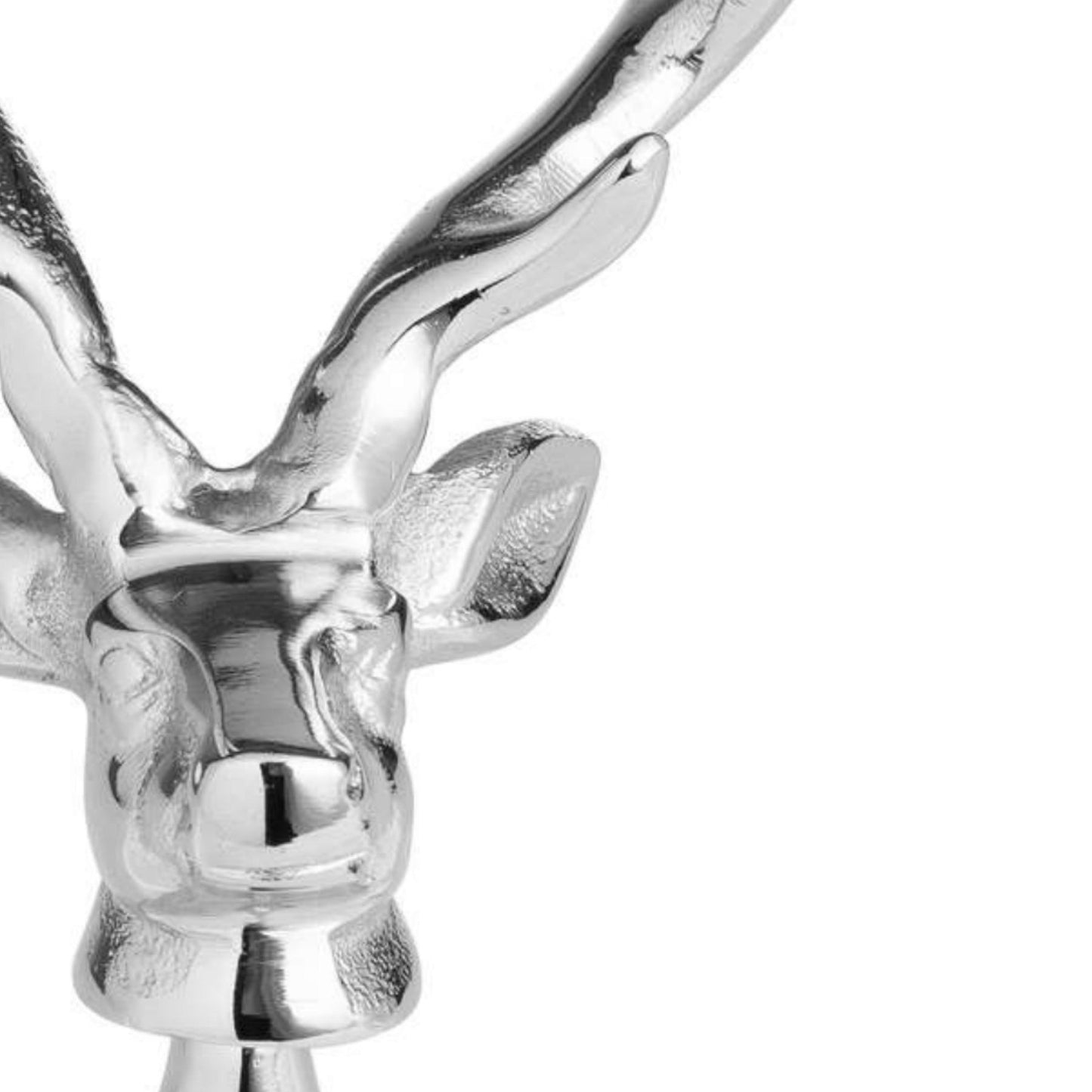 close up of stags face detail on the bottle opener