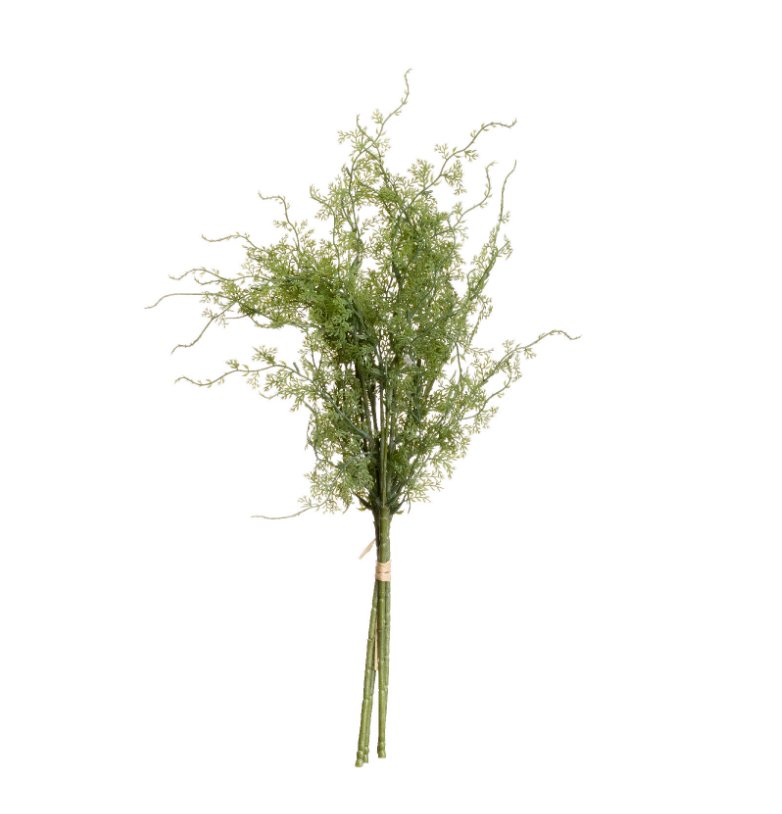 asparagus fern bunch