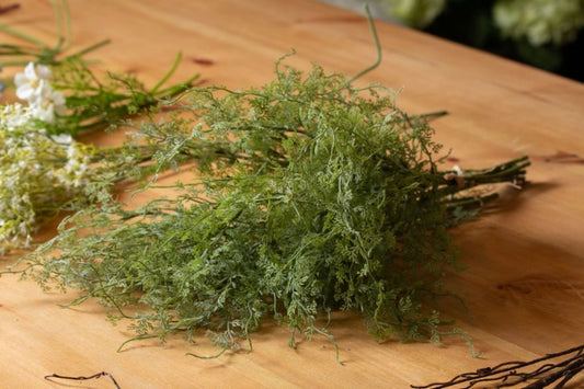 soft textured asparagus fern bunch laid on wooden table