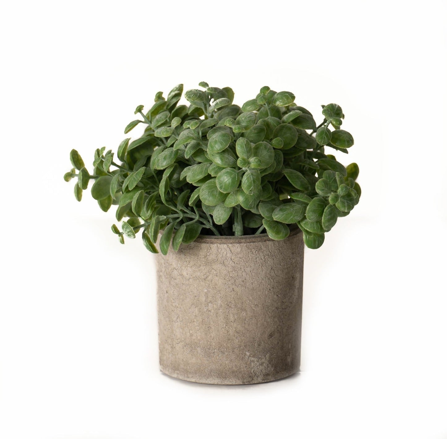 artificial basil plant in stone effect pot