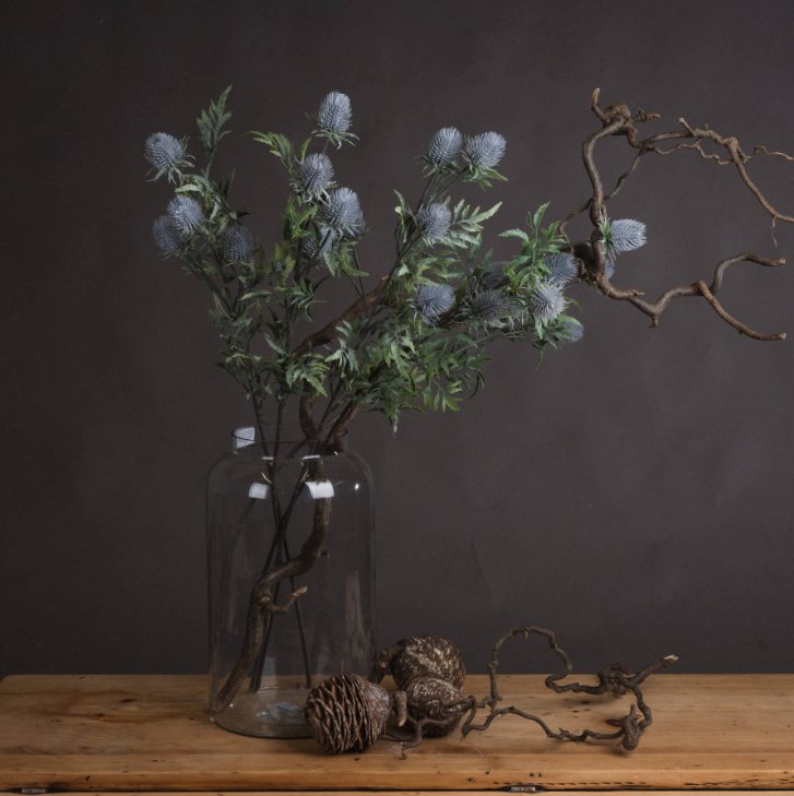 Five Blue Thistles stems placed in glass apothecary vase with pine cones placed in front of the vase