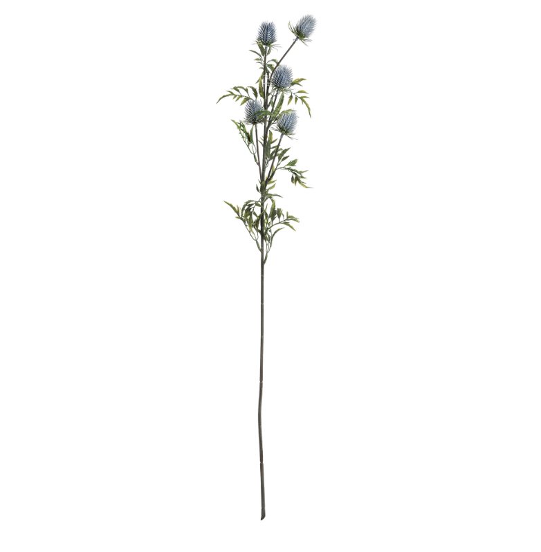 Single stem of blue thistle