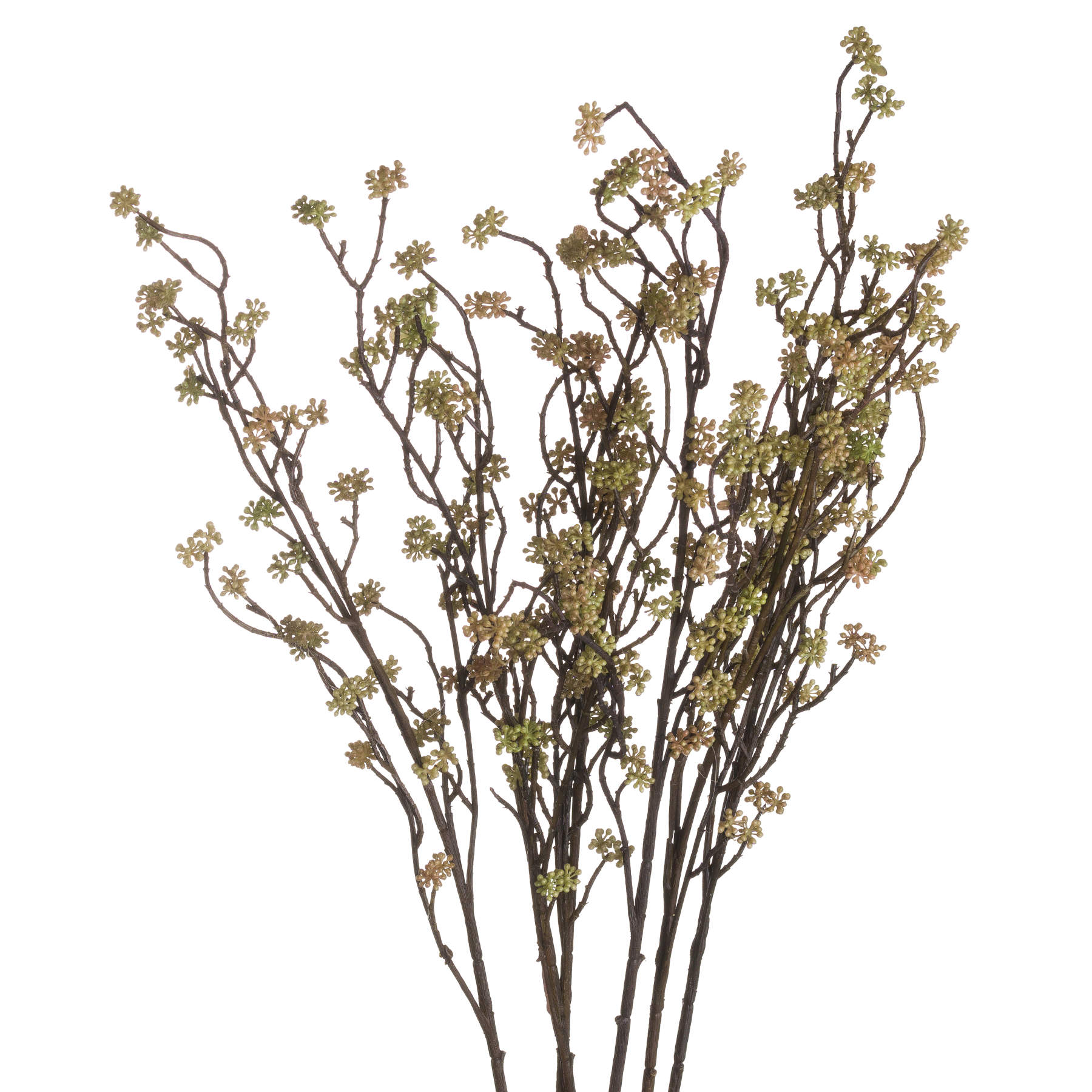 several single stems of branch in bloom filler