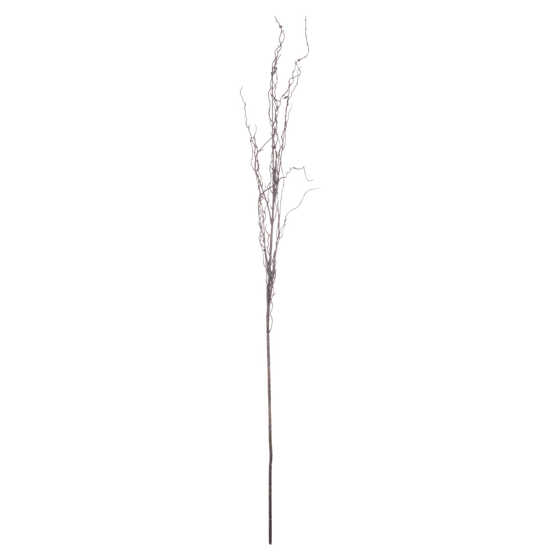 single stem of branch spray