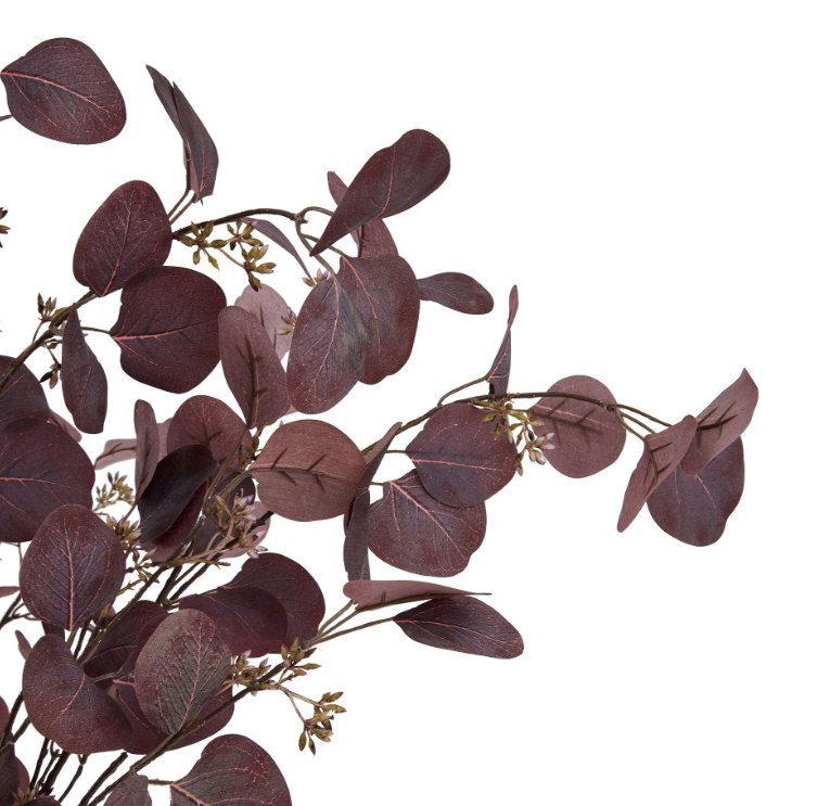 Burgundy Eucalyptus with Berry Detail