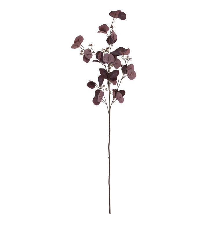 Burgundy Eucalyptus with Berry Detail