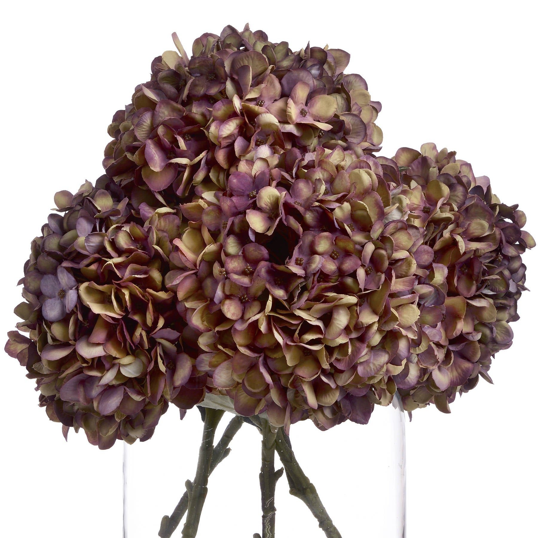 burgundy hydrangeas in glass vase