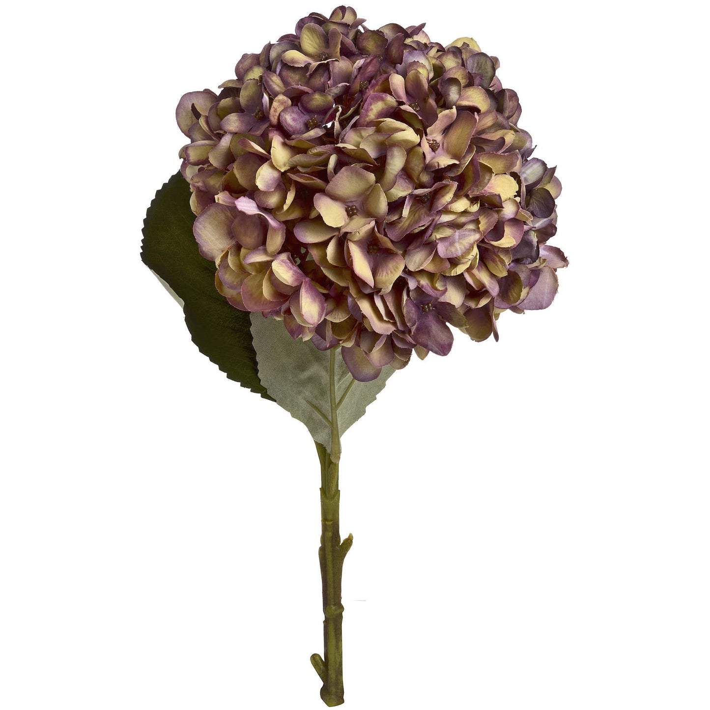 single stem burgundy hydrangea