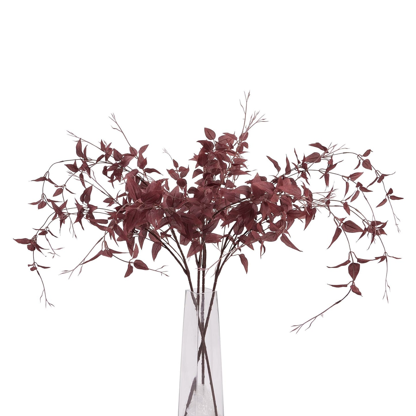 several single stems of burgundy leaf in tall thin glass vase