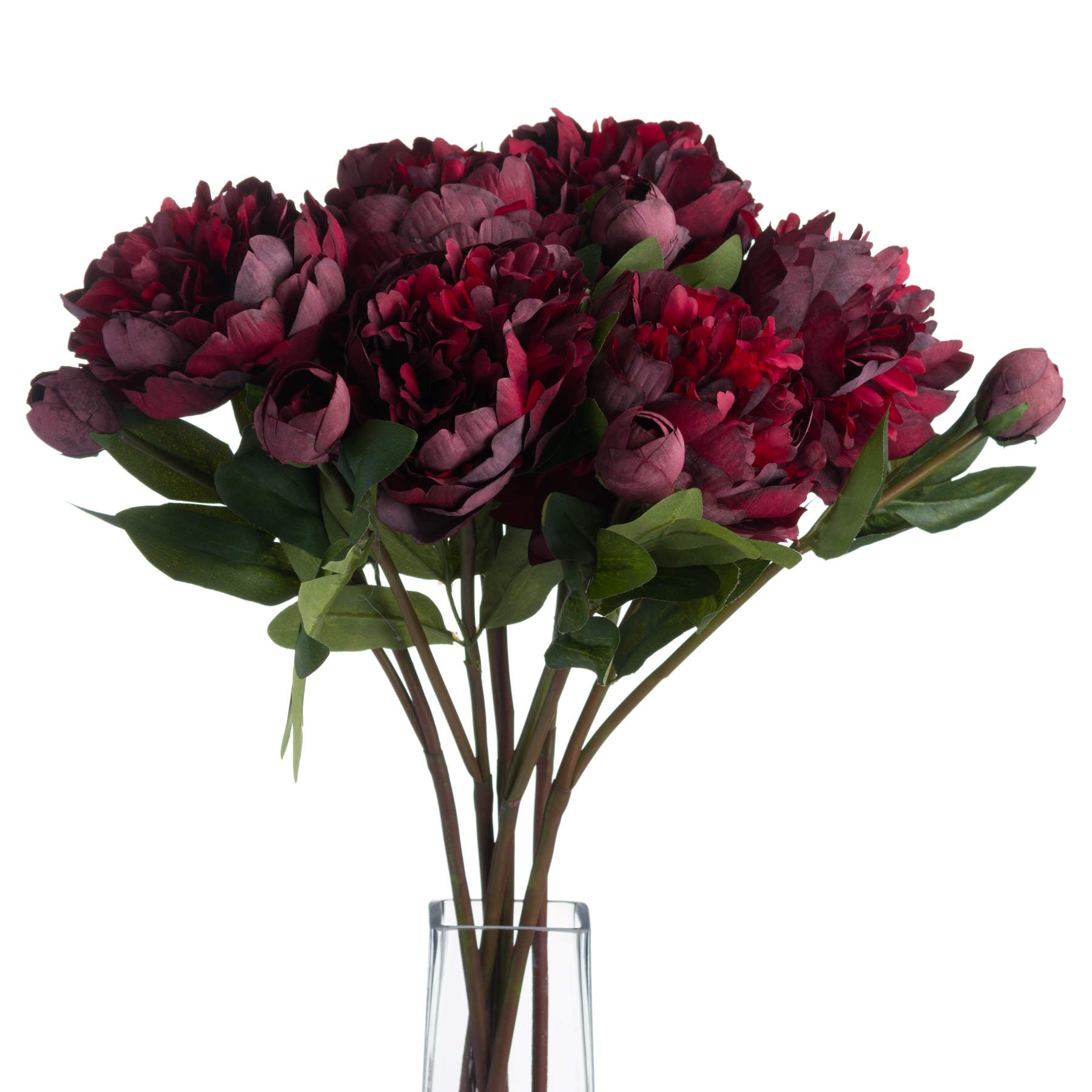 Six stems of burgundy peony rose in clear glass vase