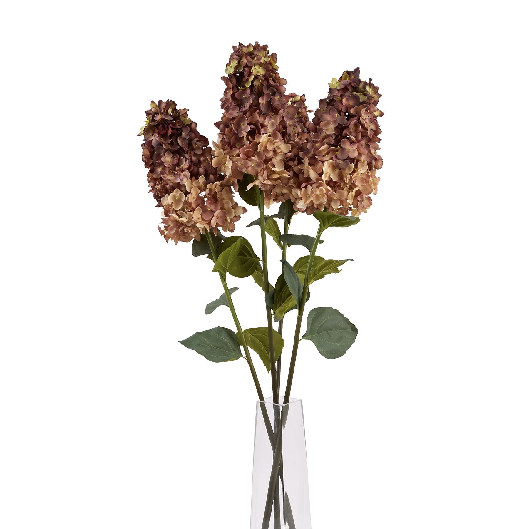 three single stem spear head hydrangeas in glass vase