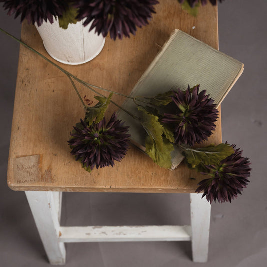 chocolate brown chrysanthemum single stem with three flowers, laid down on wooden bench on top of an antique style book