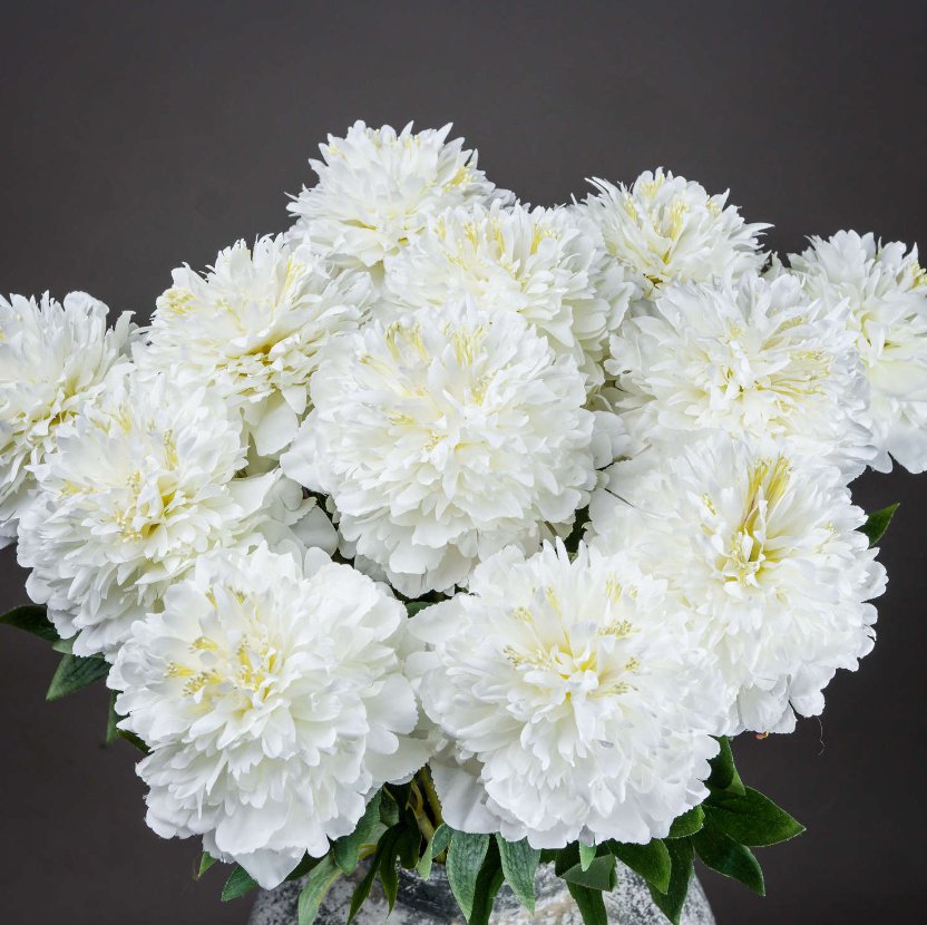 Classic White Peony