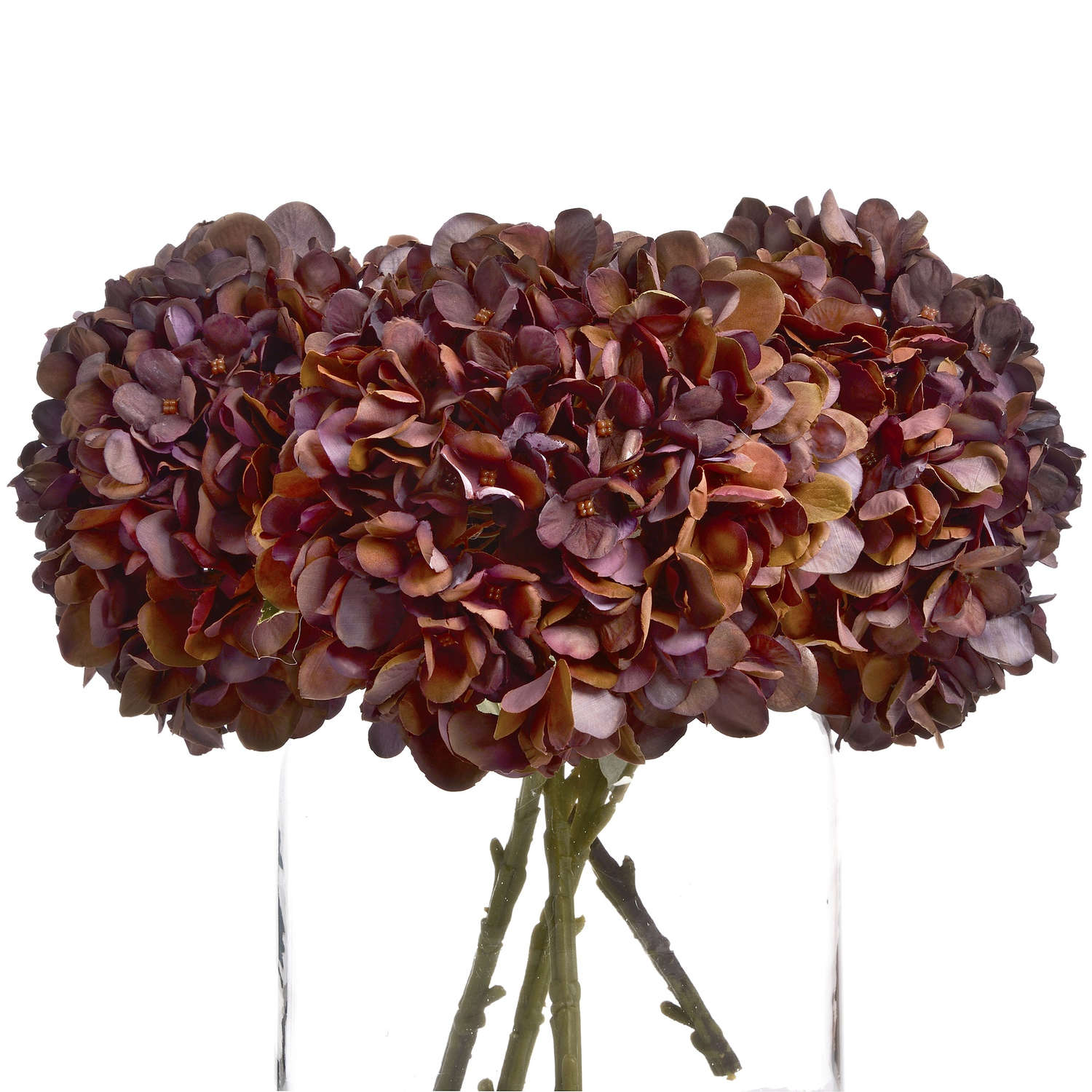 four single stem coffee hydrangea in glass vase