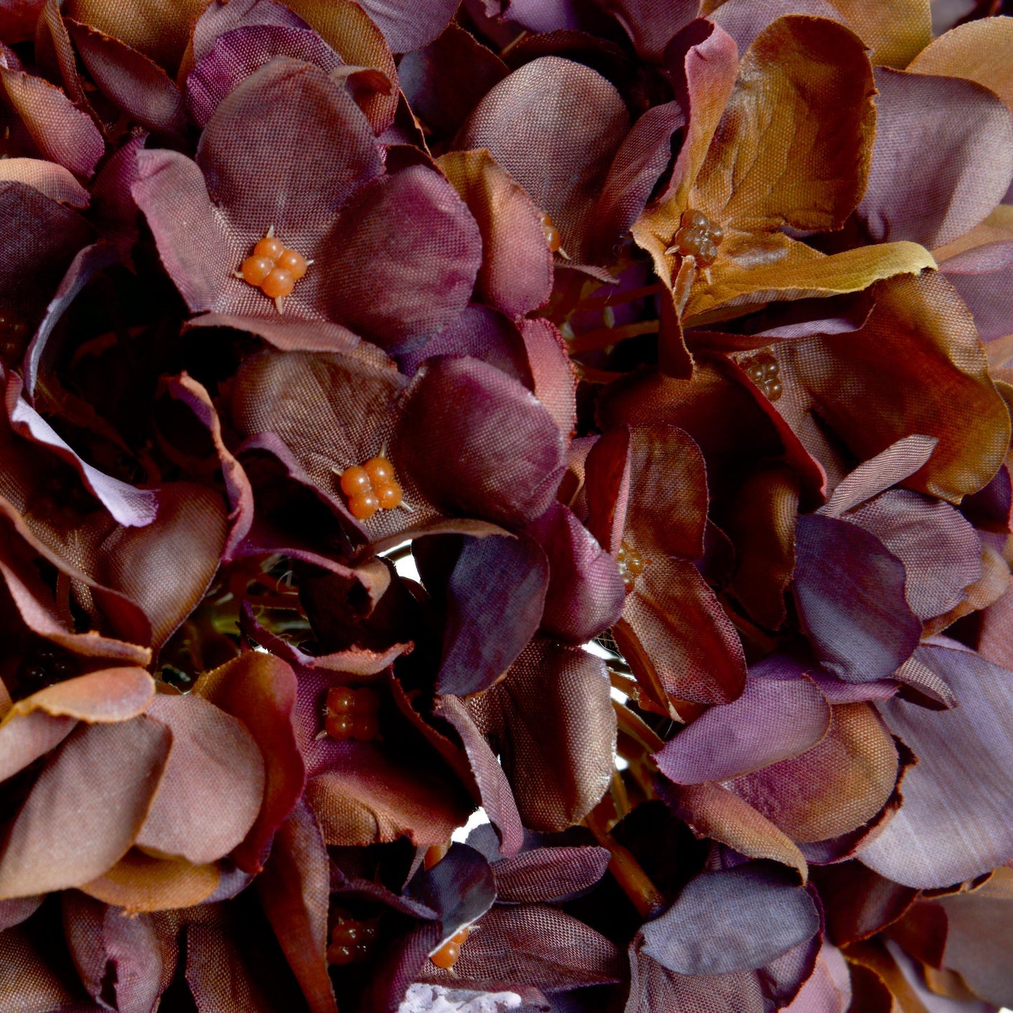 close up of coffee hydrangea petals