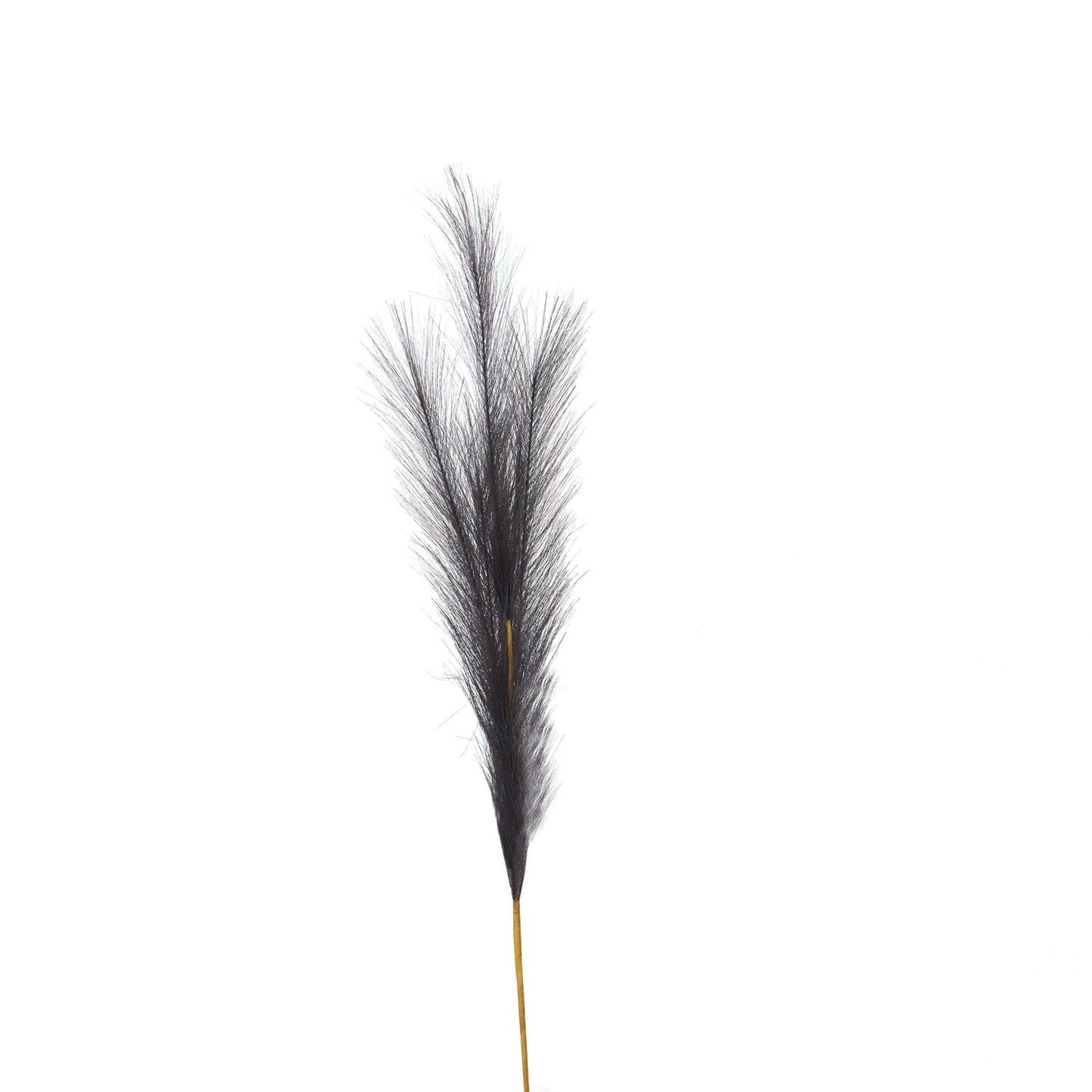 Dark Grey Faux Pampas Grass Stem