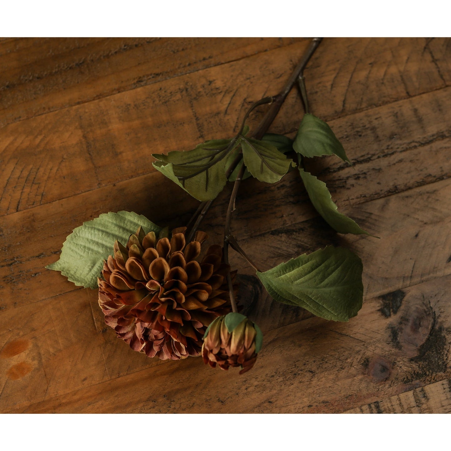 mustard dahlia stem laid down on wooden sideboard