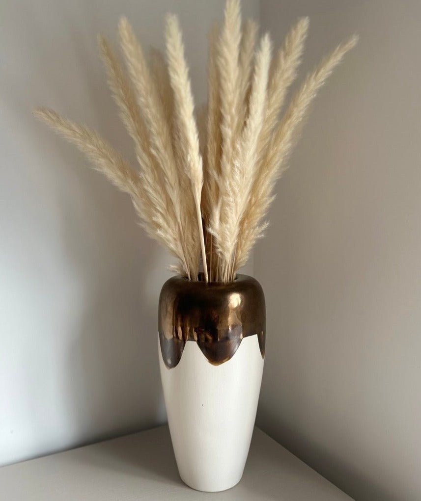 Dried Pampas Grass | 25 Stems