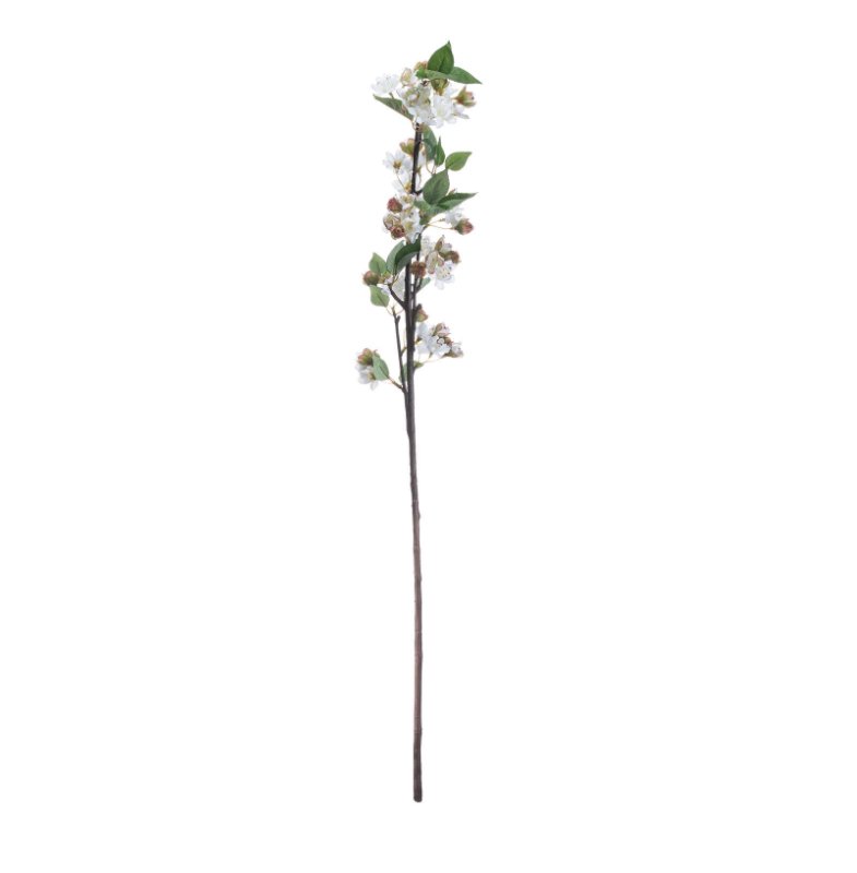 English Blossom Branch