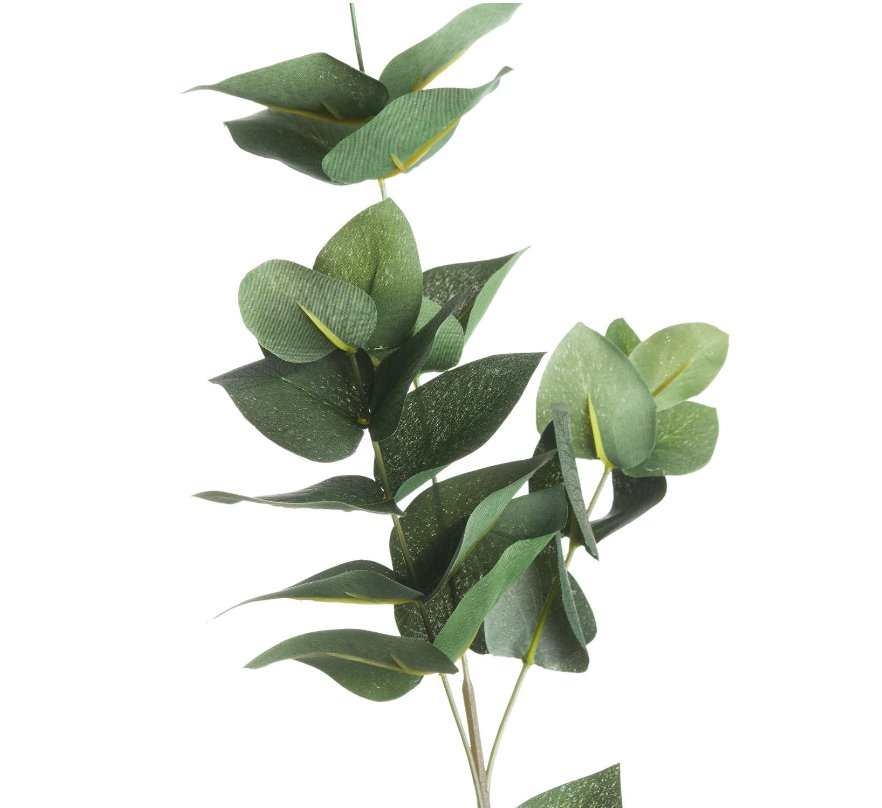 Eucalyptus Filler