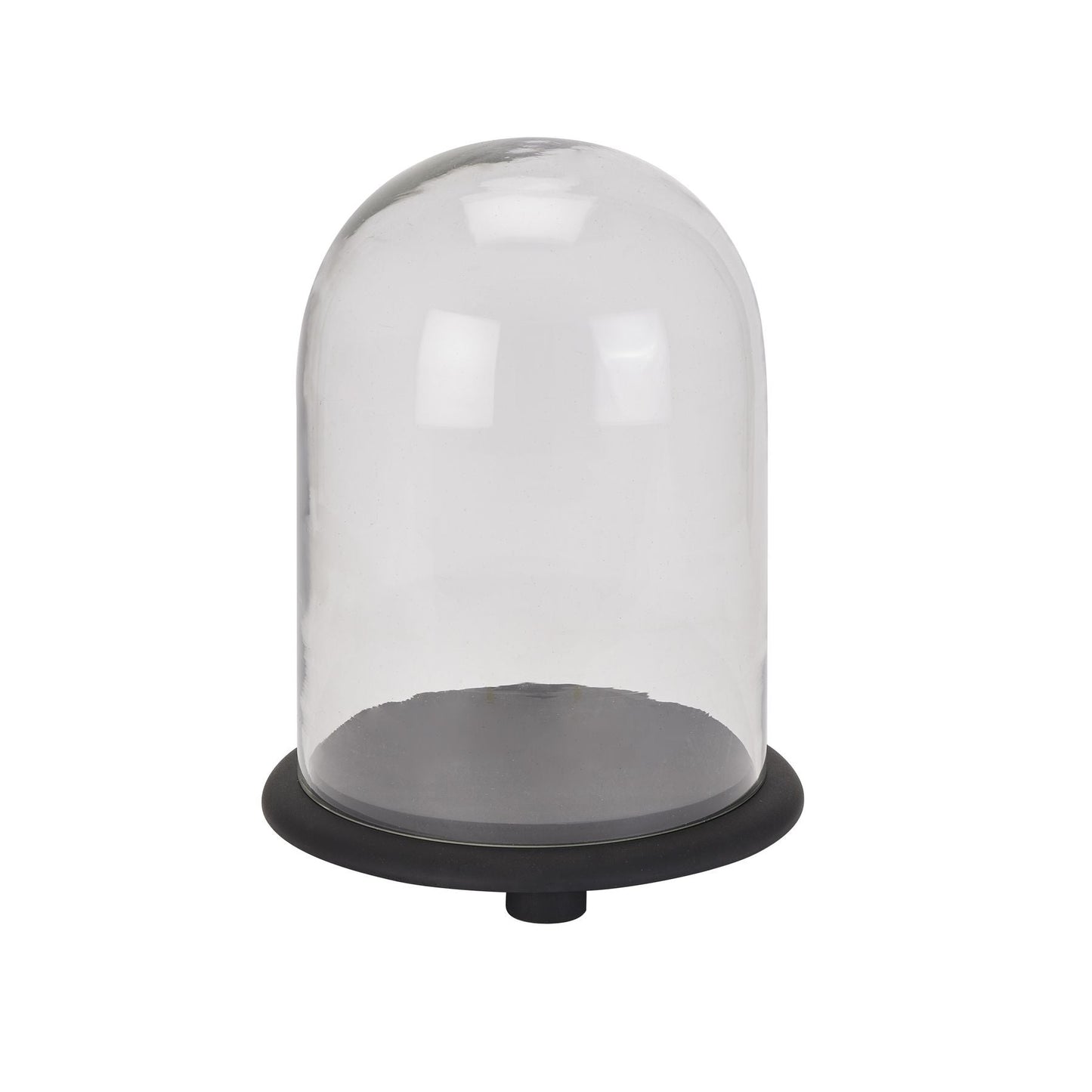 small glass cloche with black wooden base