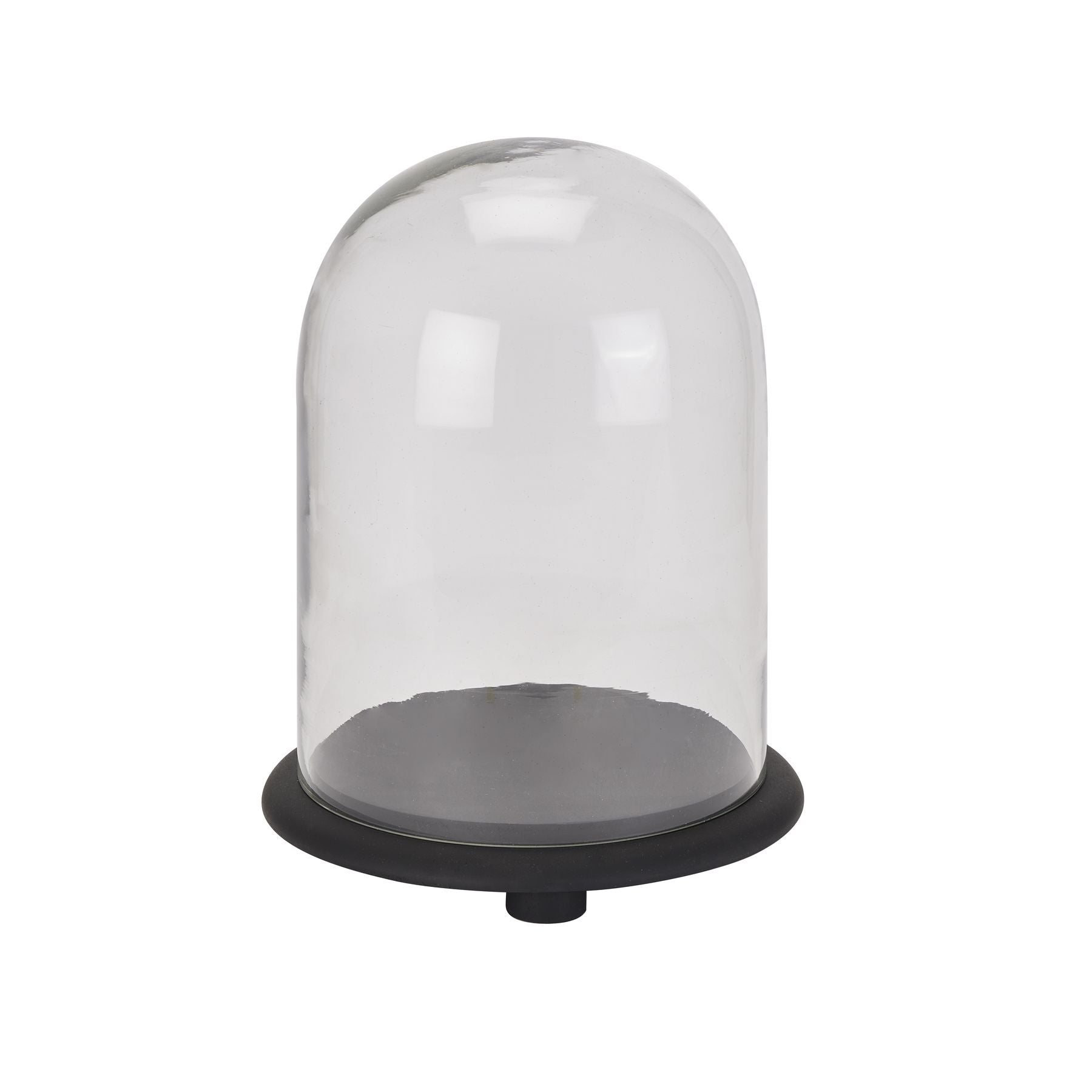 small glass cloche with black wooden base