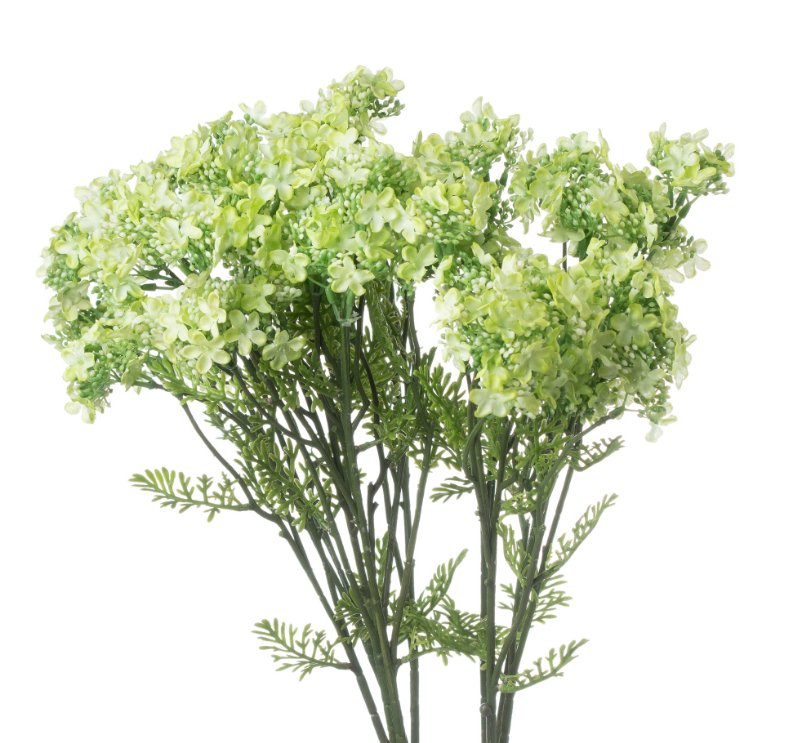 Green Plumb Blossom Spray