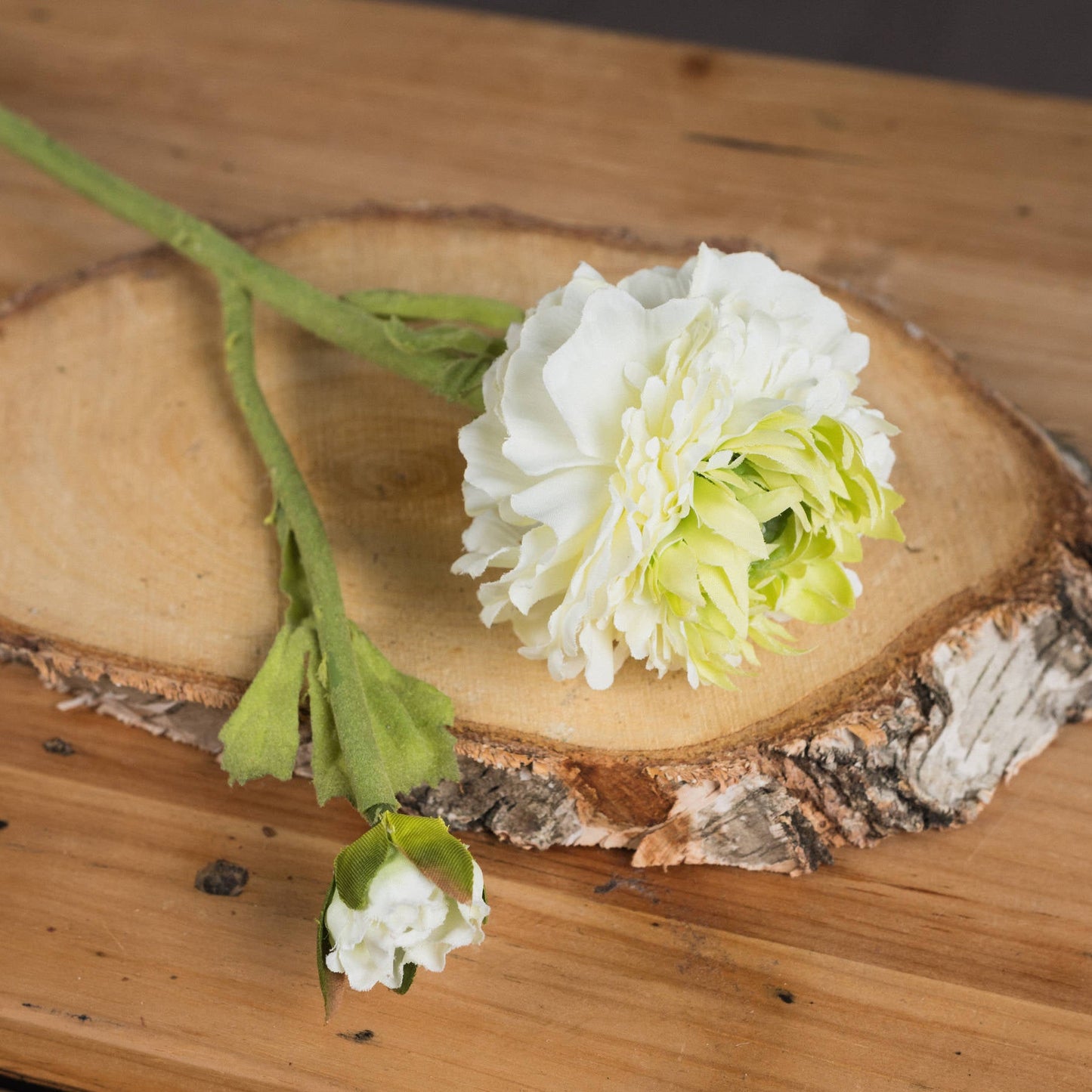 single stem of ranunculus laid down on bark style wooden tray