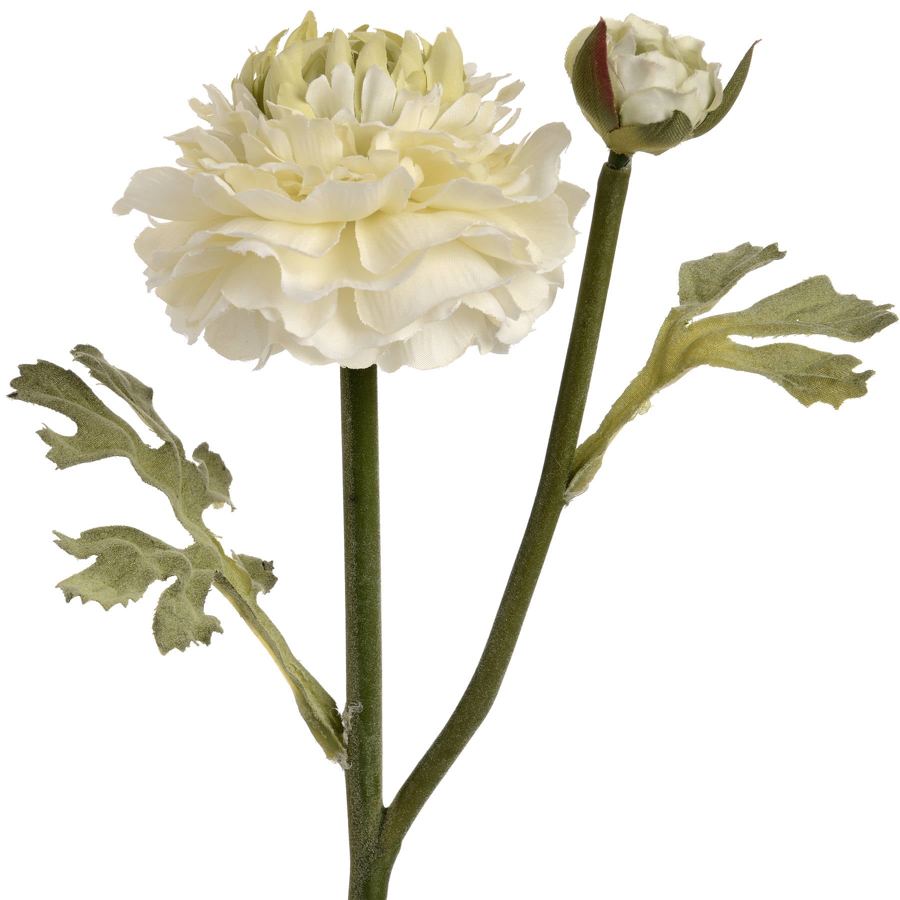 single stem green ranunculus spray