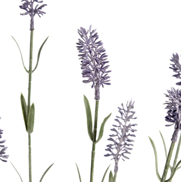 Large Lavender Spray