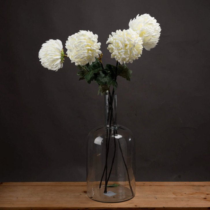 Large White Chrysanthemum