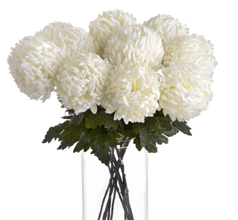 Large White Chrysanthemum