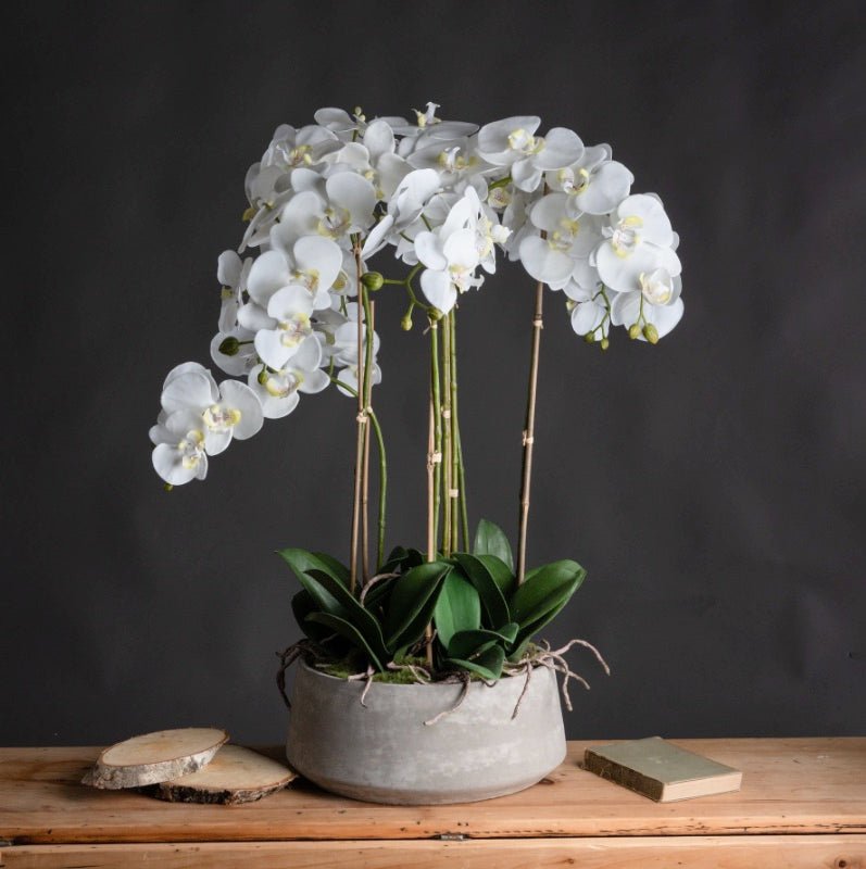 artificial wide white orchid on wooden shelf with dark grey background