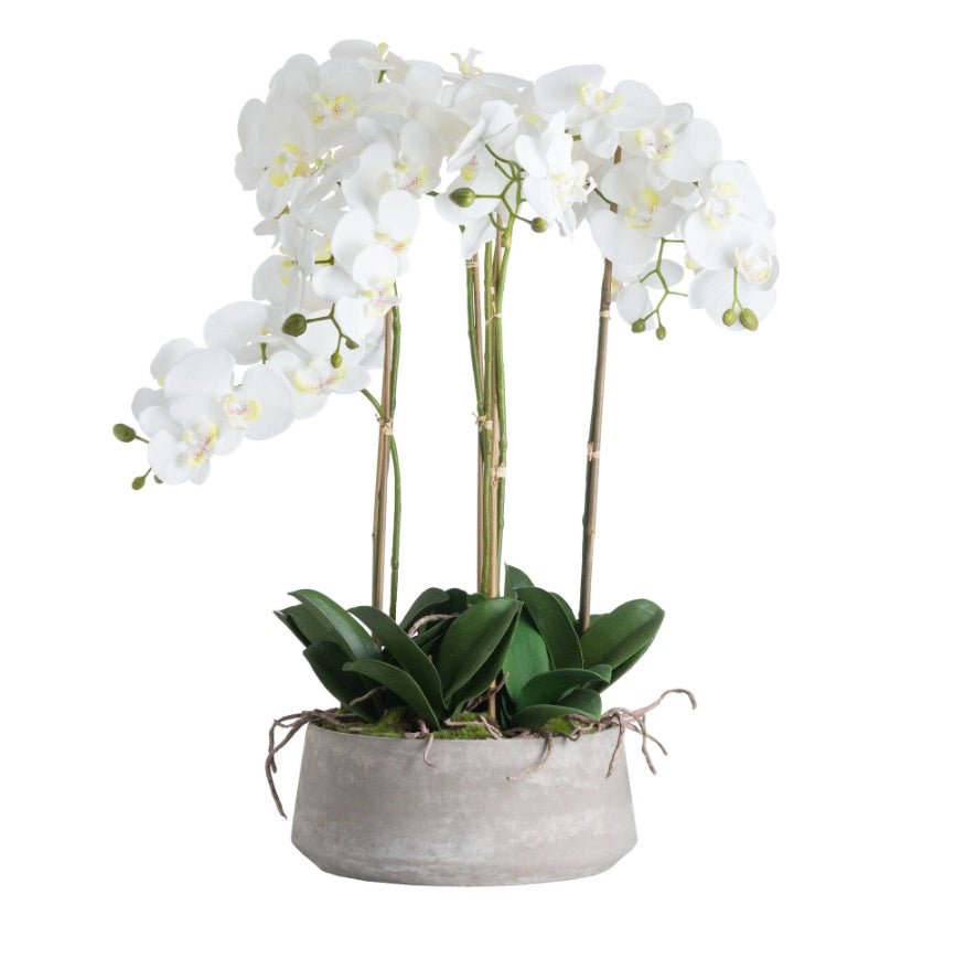 artificial wide white orchid in stone pot