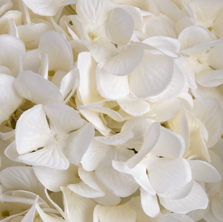 Oversized Single Stem White Hydrangea