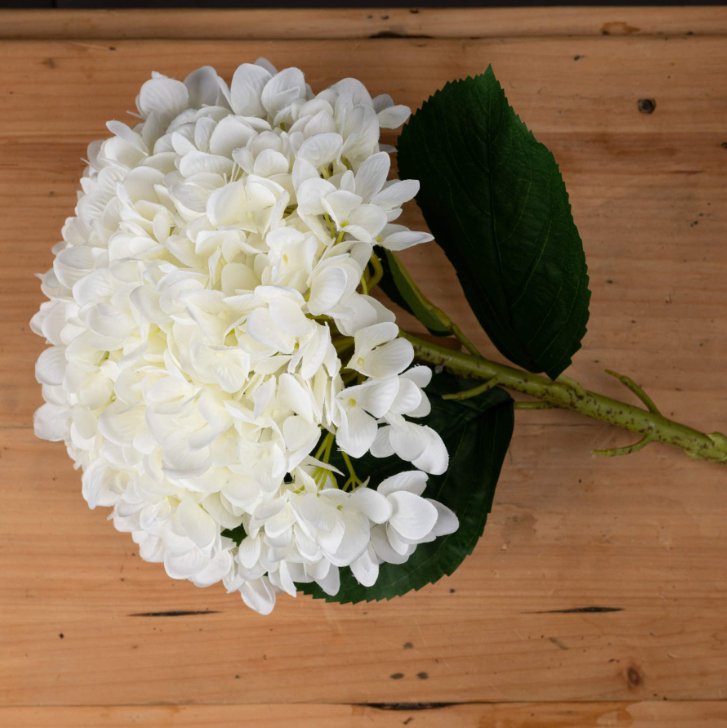 Oversized Single Stem White Hydrangea