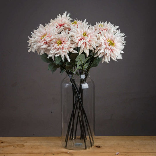 Pink Single Stem Dahlia