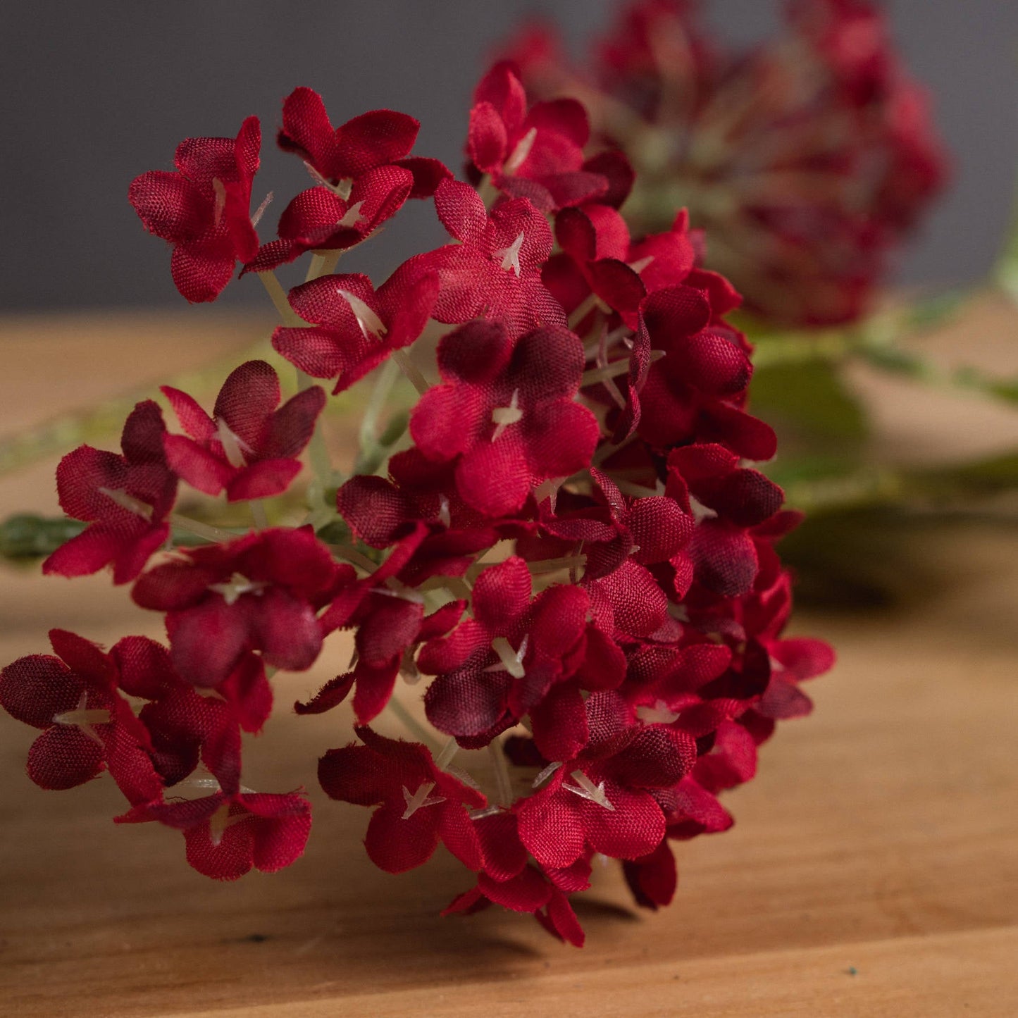 close up detail of petals on viburnum stem