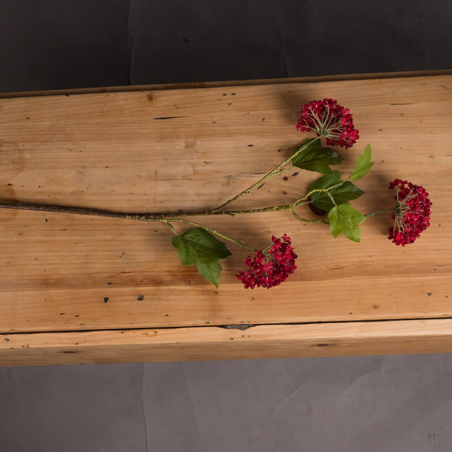 single red viburnum stem laid down on wooden sideboard