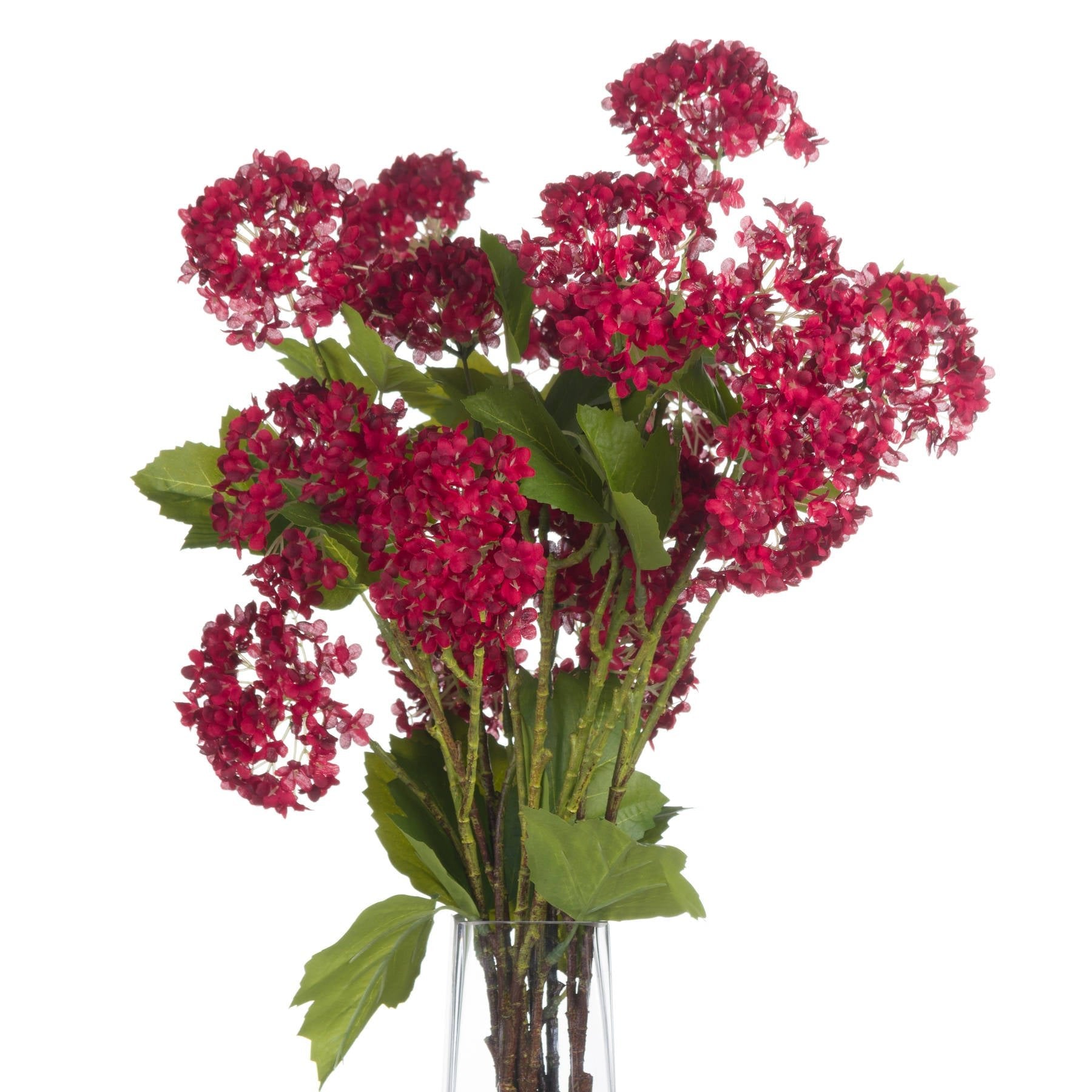 several stems of red viburnum