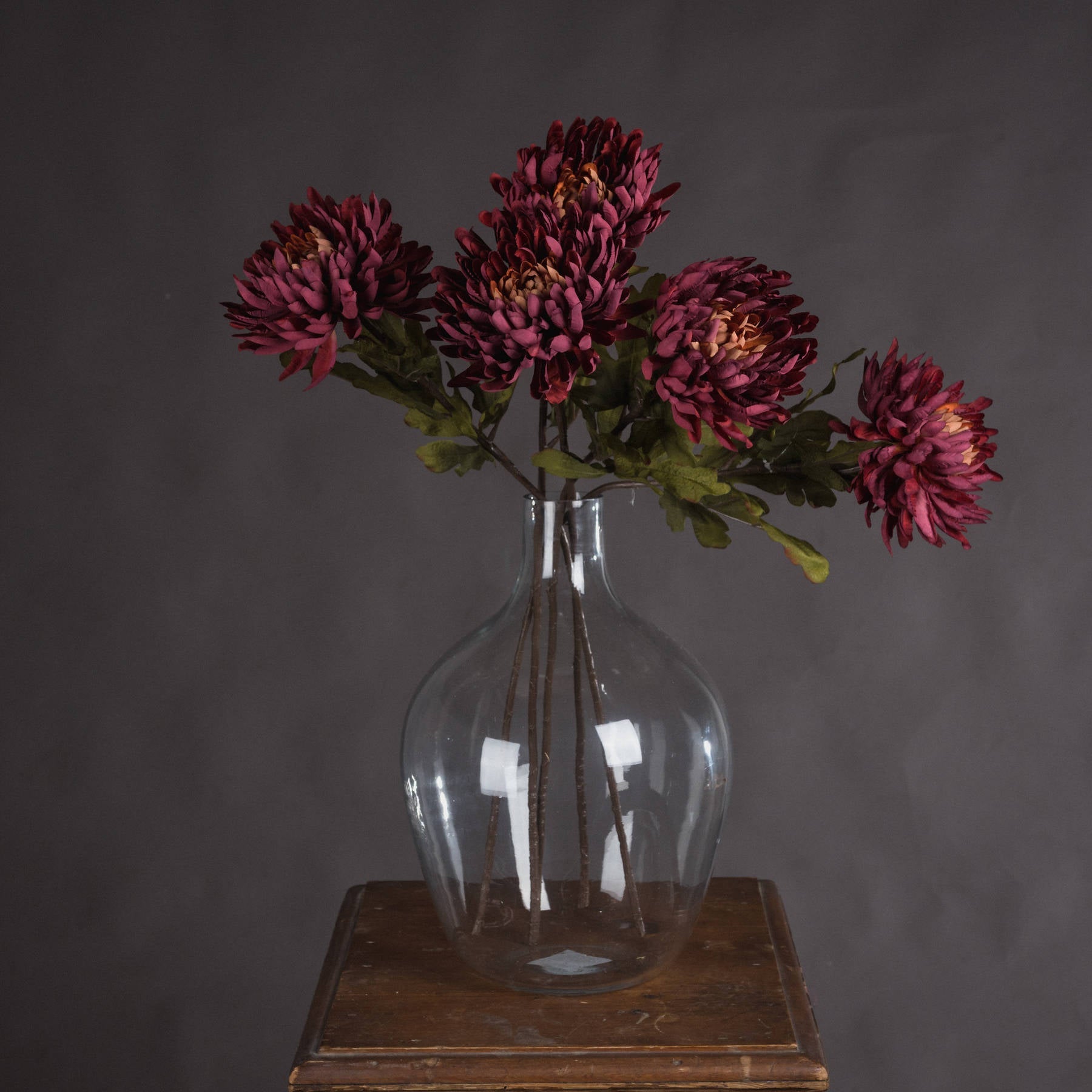 five stems of spider chrysanthemum in glass bottle vase