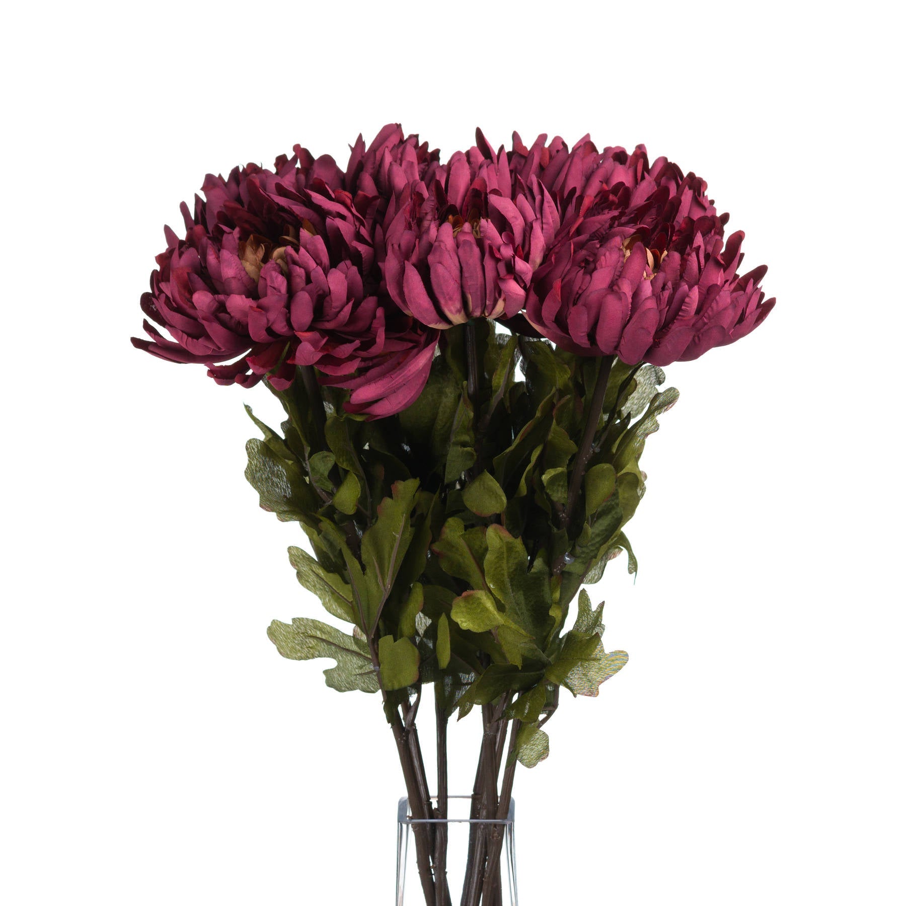 several single stems of spider chrysanthemum in a glass vase