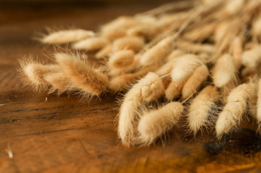 Tall Bunny Tails Bouquet