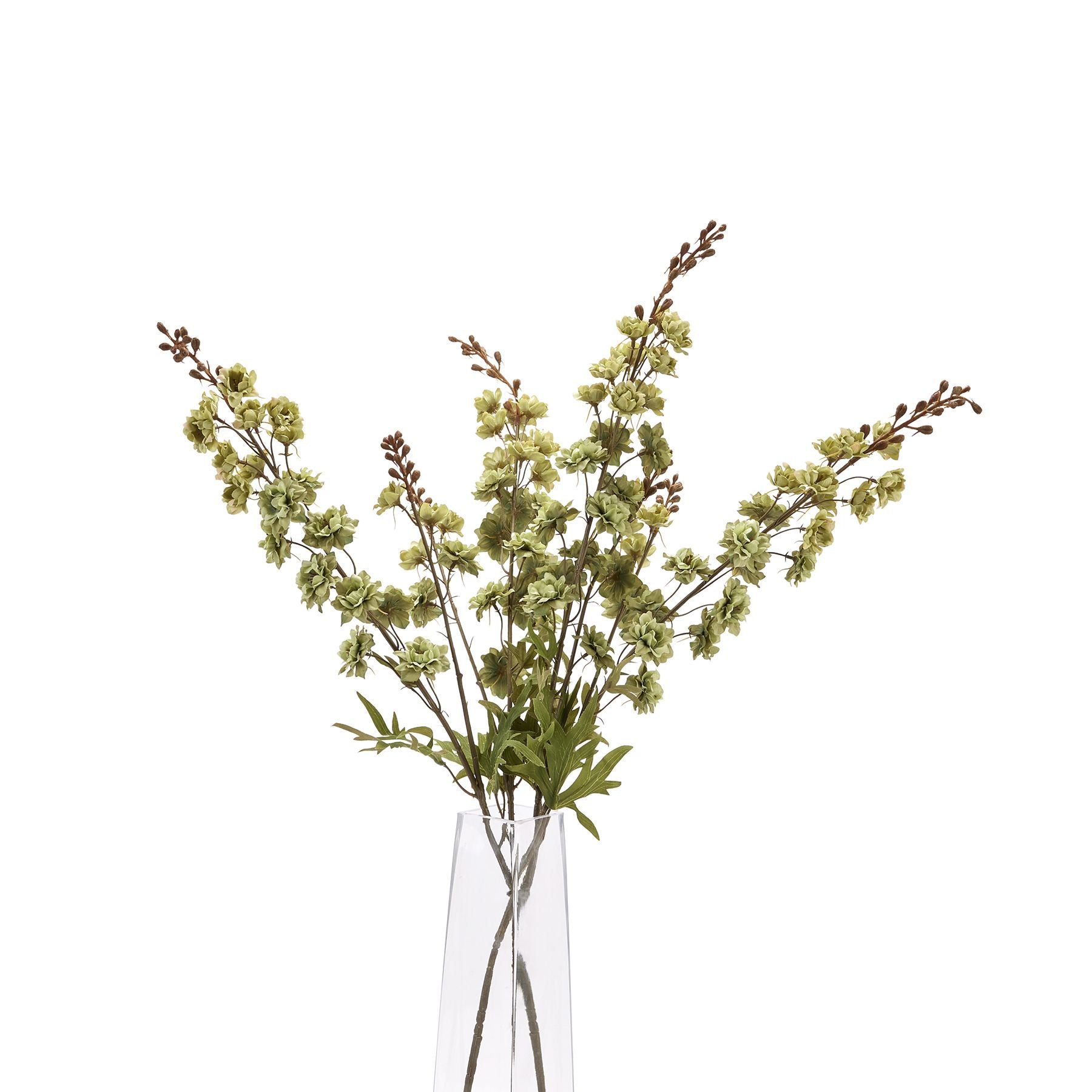 green hops stems in glass vase