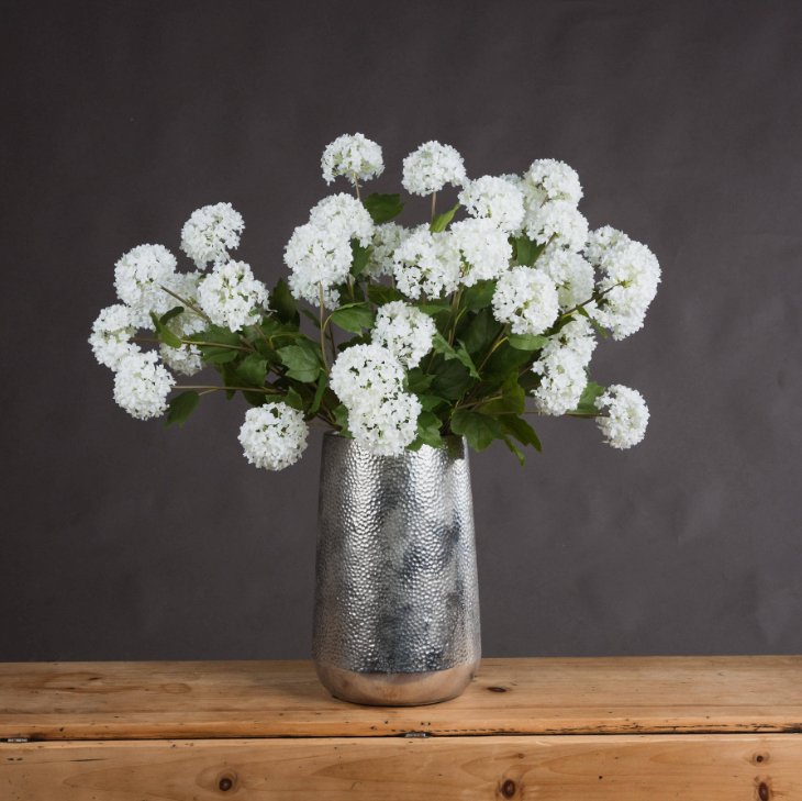 Viburnum Opulus