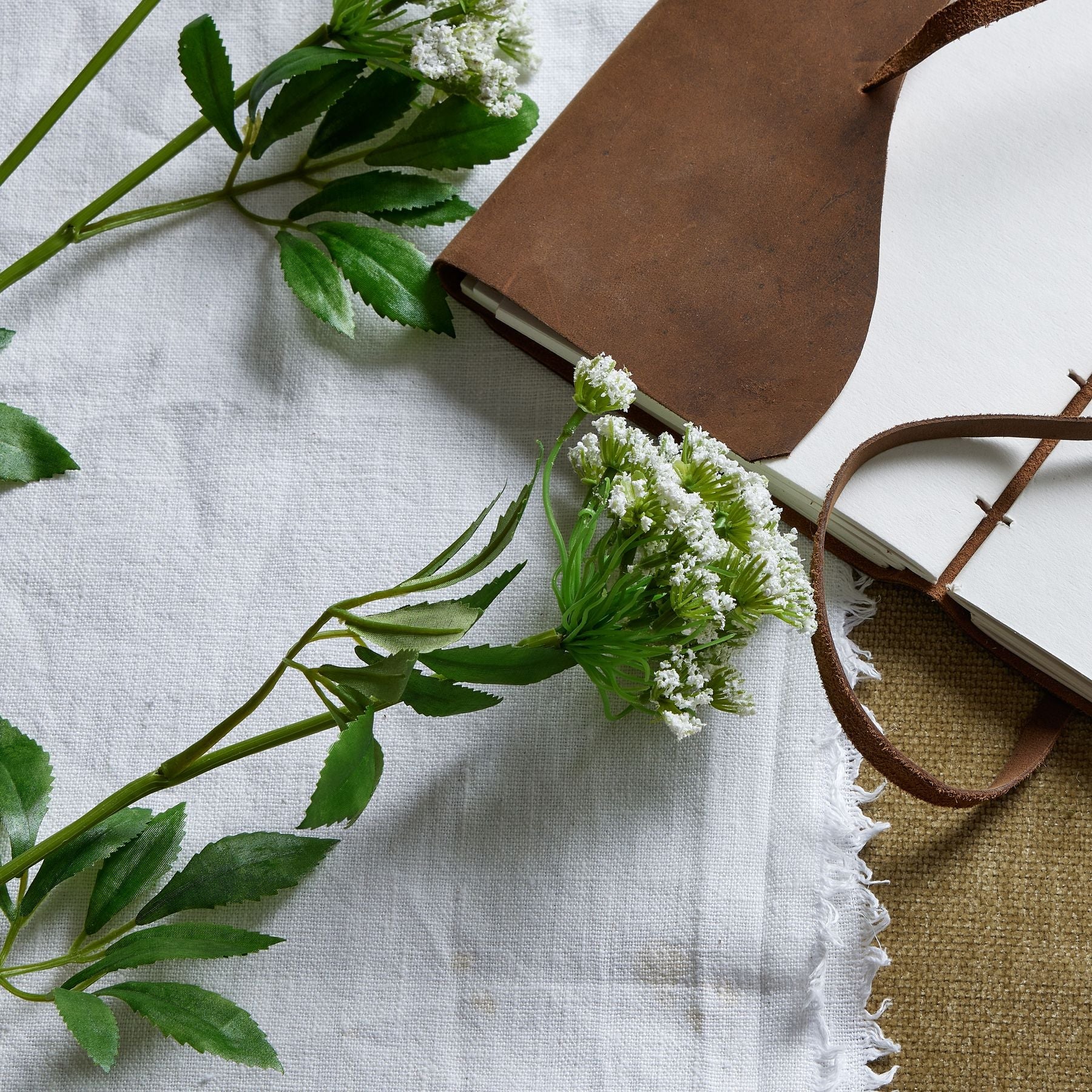 close up of cow parsley, laid down next to leather bound journal